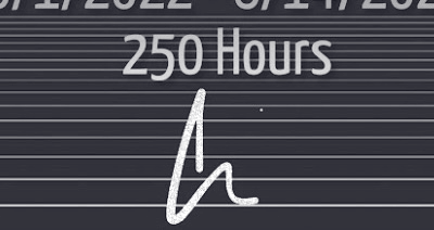 Ali Sina signature